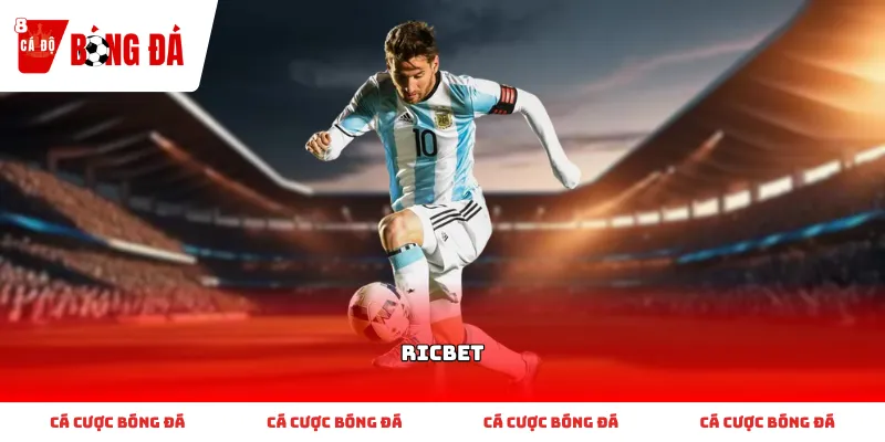 Thông tin cần biết về quy trình vận hành của Ricbet