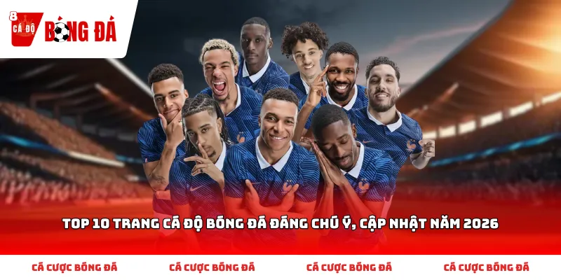 Top 10 trang cá độ bóng đá đáng chú ý, cập nhật năm 2026